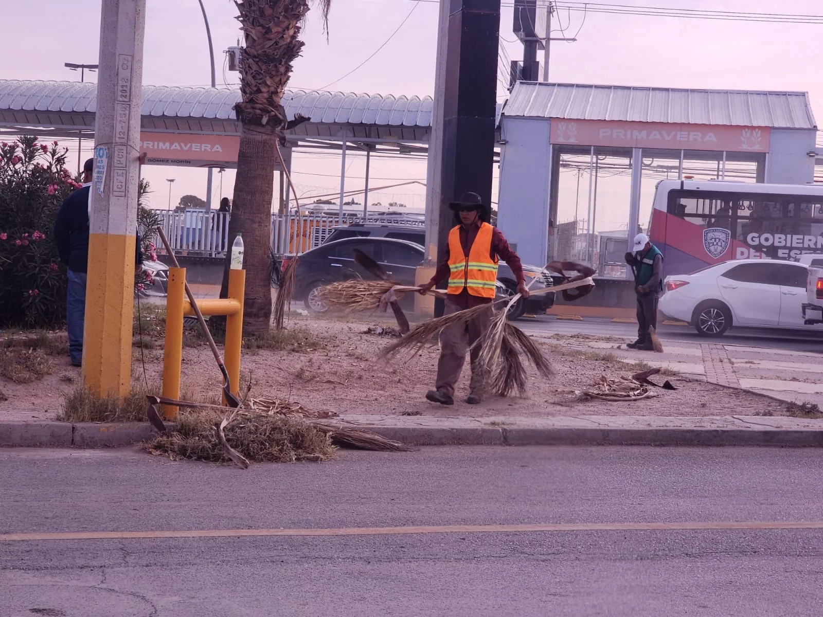Dirección de Limpia intensifica labores en avenidas principales para mejorar imagen urbana en San Luis Potosí - imagen 3