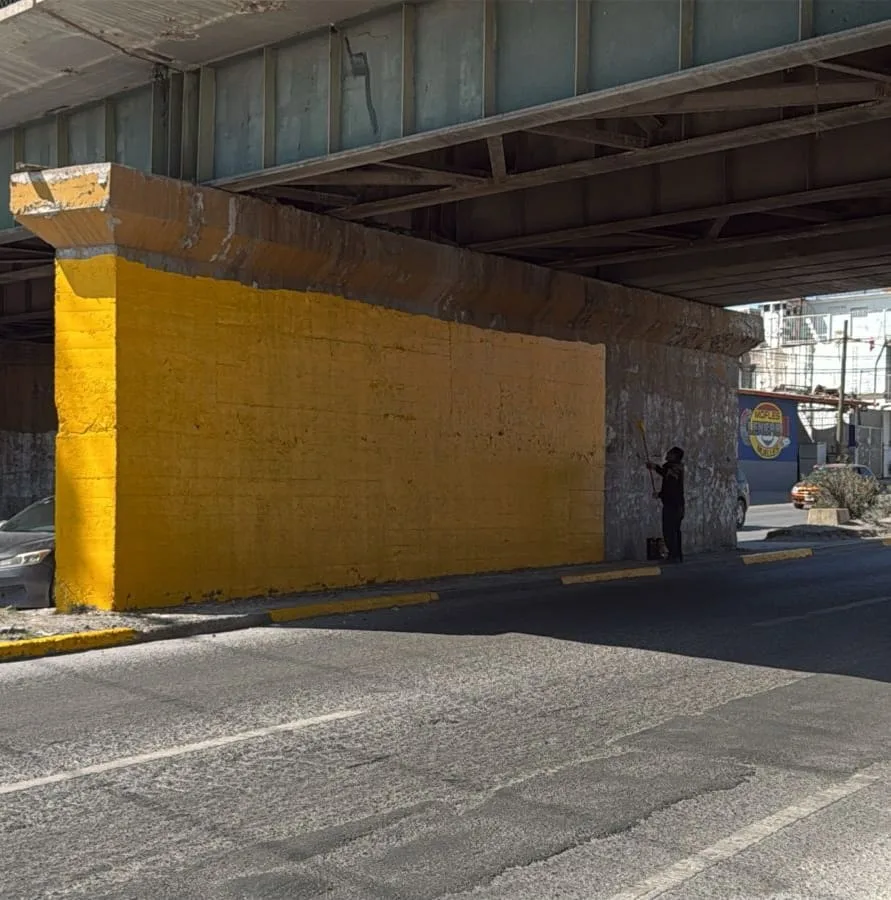 Dirección de Limpia intensifica labores en avenidas principales para mejorar imagen urbana en San Luis Potosí - imagen 7