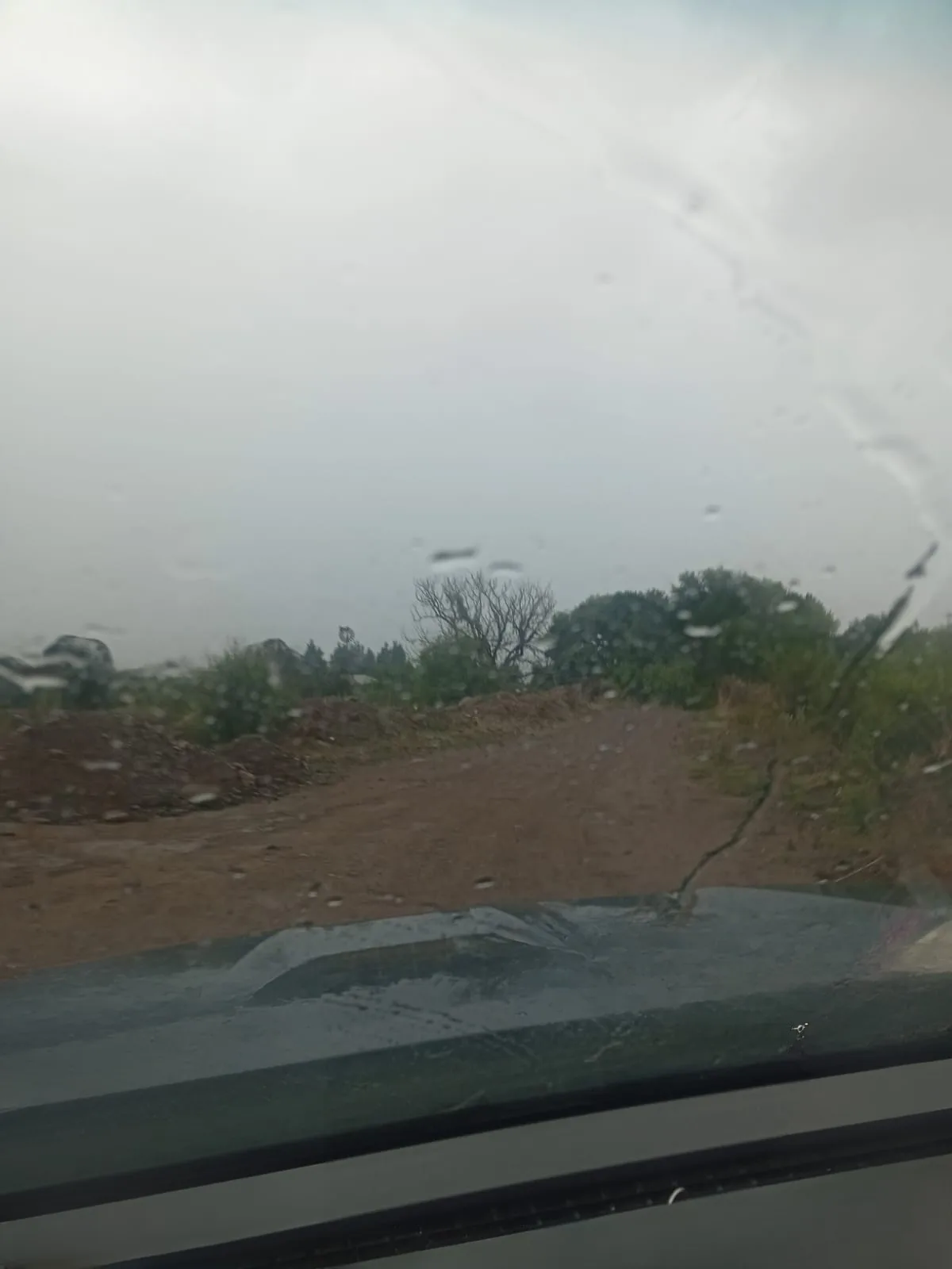 Protección Civil reporta inundaciones, cortos circuitos y caída de árboles por lluvias en Chihuahua - imagen 1