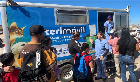 Municipio de Chihuahua ofrece más de 1,700 servicios gratuitos para mascotas en zonas rurales - imagen 4