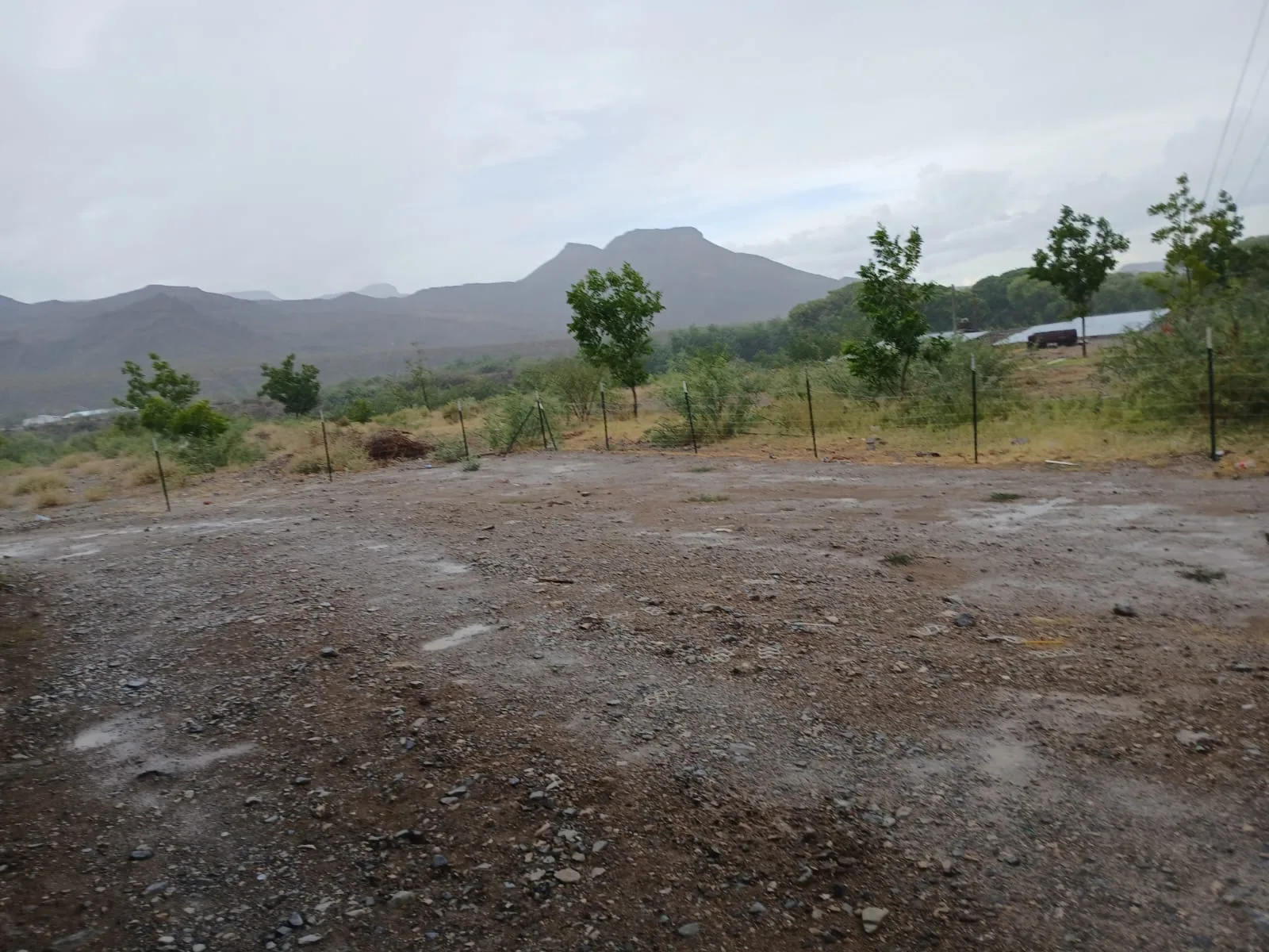 Protección Civil reporta cortos circuitos, inundaciones y caída de árboles por lluvias en Chihuahua - imagen 2