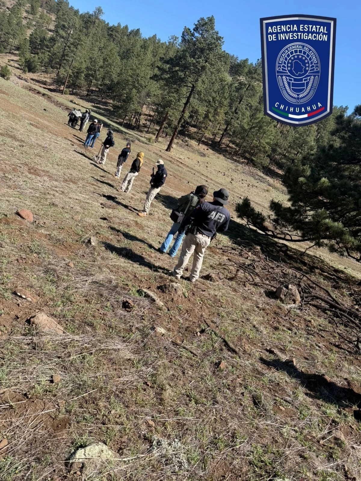 FGE Occidente y Comisión Local de Búsqueda realizan rastreo en el Ejido Largo Maderal, en Madera - imagen 1