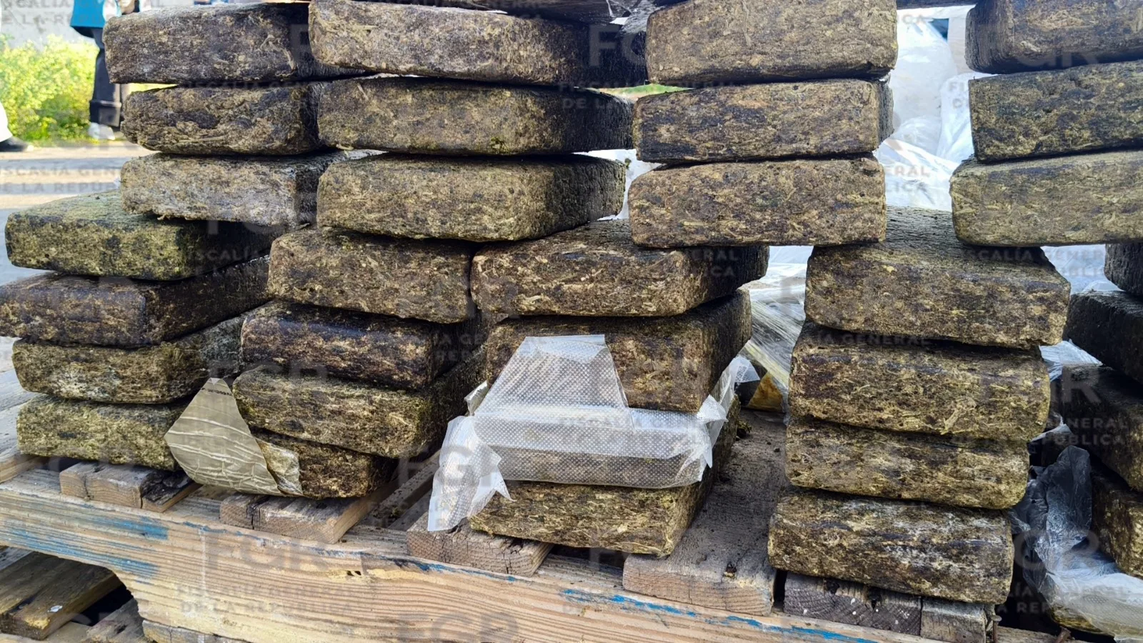 FGR incinera en Jalisco más de dos toneladas de narcóticos en operativo conjunto - imagen 6