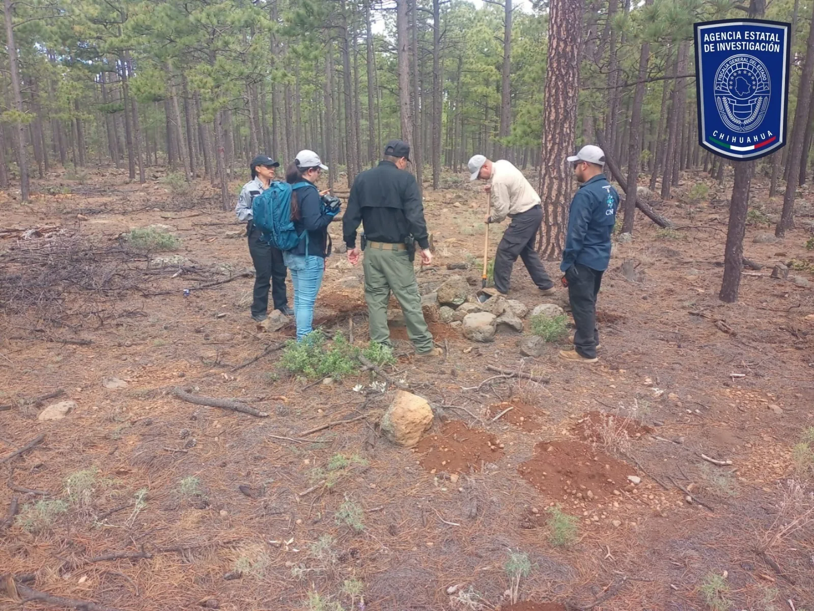 FGE de Chihuahua mantiene rastreo con apoyo canino y dron en el ejido Largo Maderal
