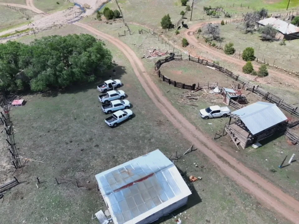 Realizan operativos de búsqueda de personas desaparecidas en Madera, Chihuahua