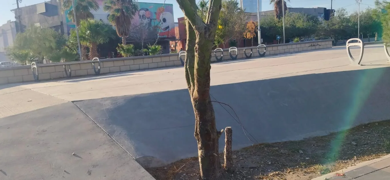 Operativo permanente de limpieza mantiene en óptimas condiciones el Centro Histórico de Ciudad Juárez - imagen 4
