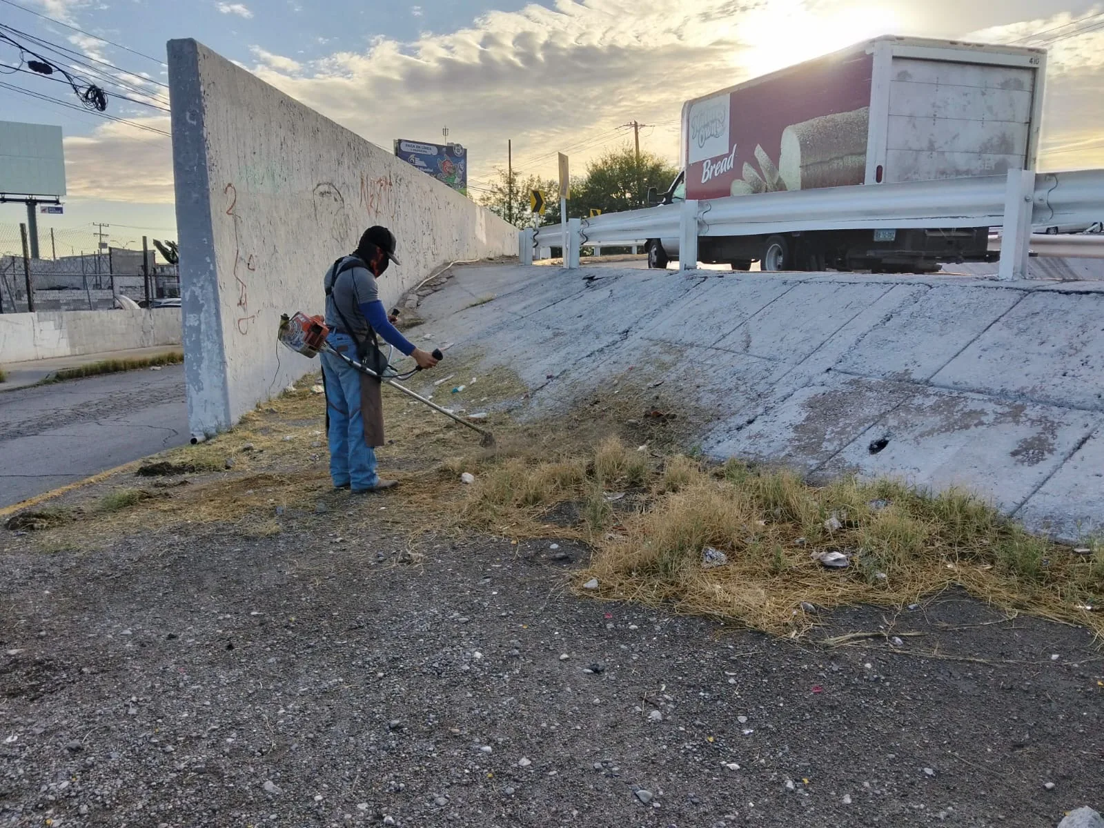 Servicios Públicos realiza mantenimiento en áreas verdes del Puente del Trébol en Torreón