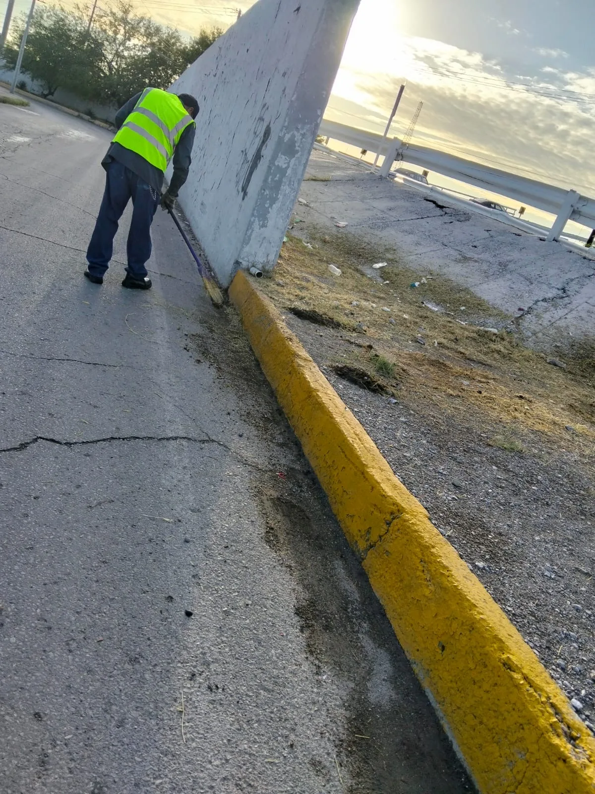 Servicios Públicos realiza mantenimiento en áreas verdes del Puente del Trébol en Torreón - imagen 1