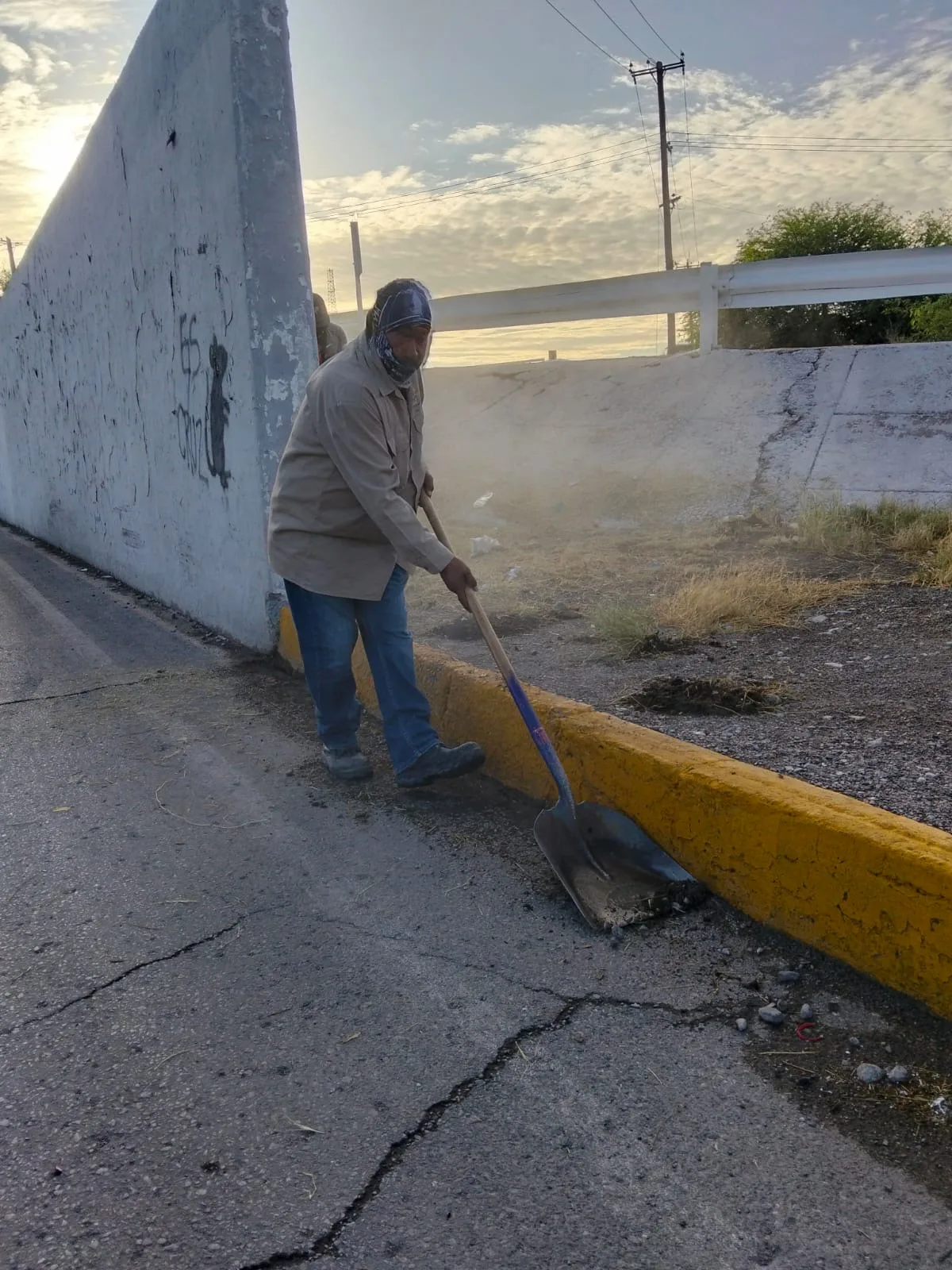 Servicios Públicos realiza mantenimiento en áreas verdes del Puente del Trébol en Torreón - imagen 4