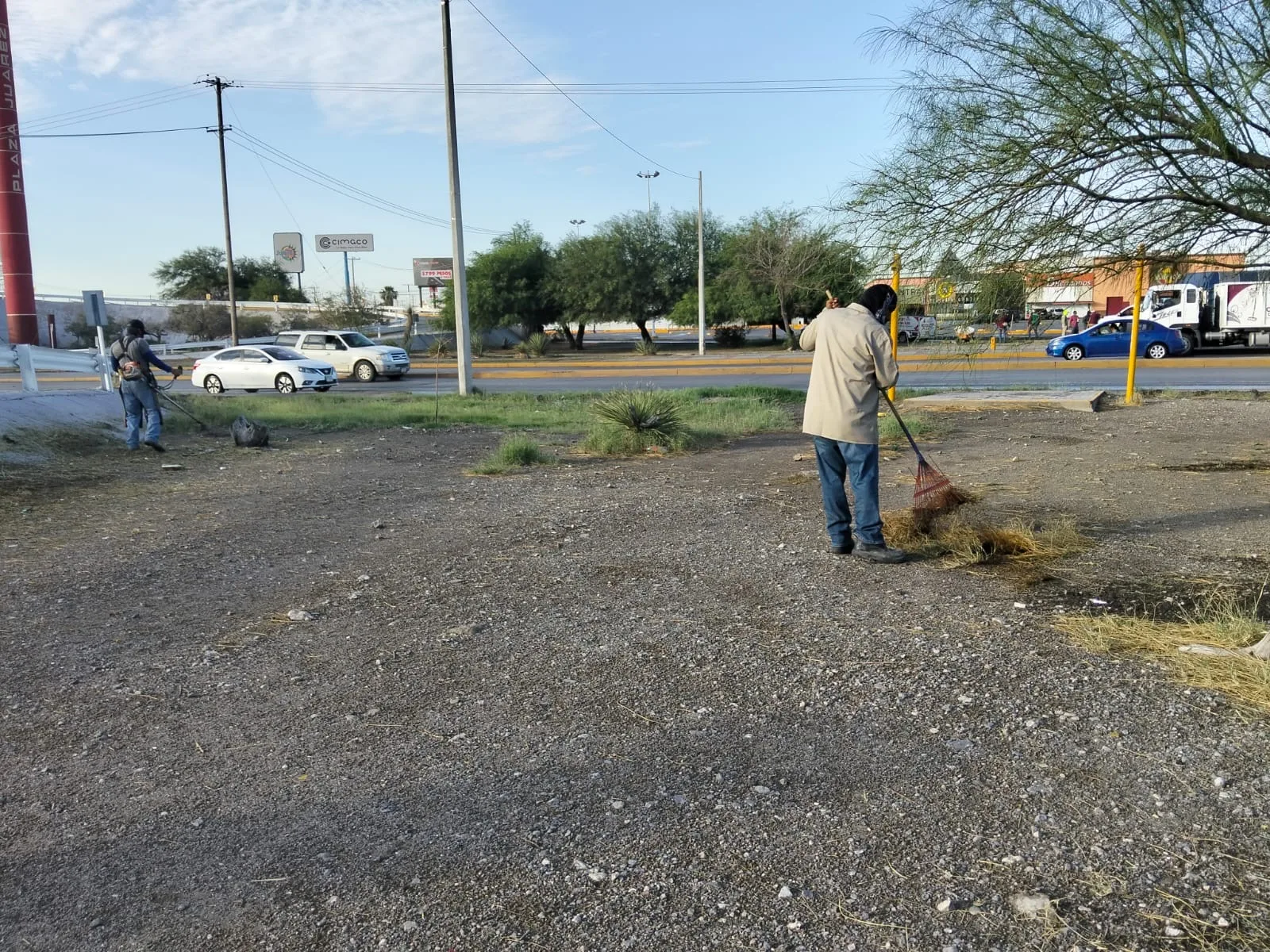 Servicios Públicos realiza mantenimiento en áreas verdes del Puente del Trébol en Torreón - imagen 5